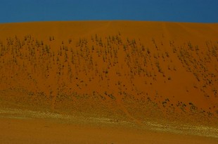 411 Namibia Okt 2006 .JPG